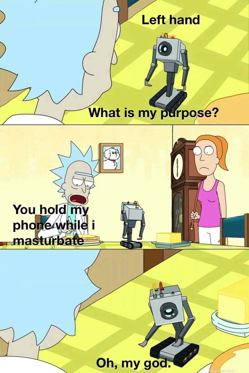 What is my purpose meme holding phone while masturbate