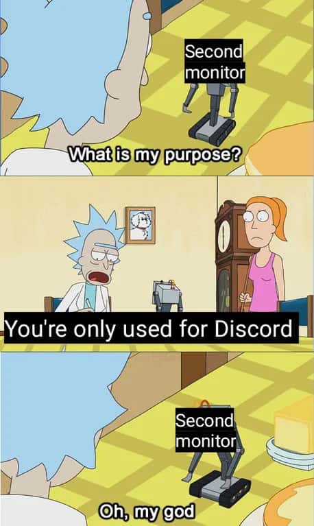 What is my purpose meme second monitor only used for Discord