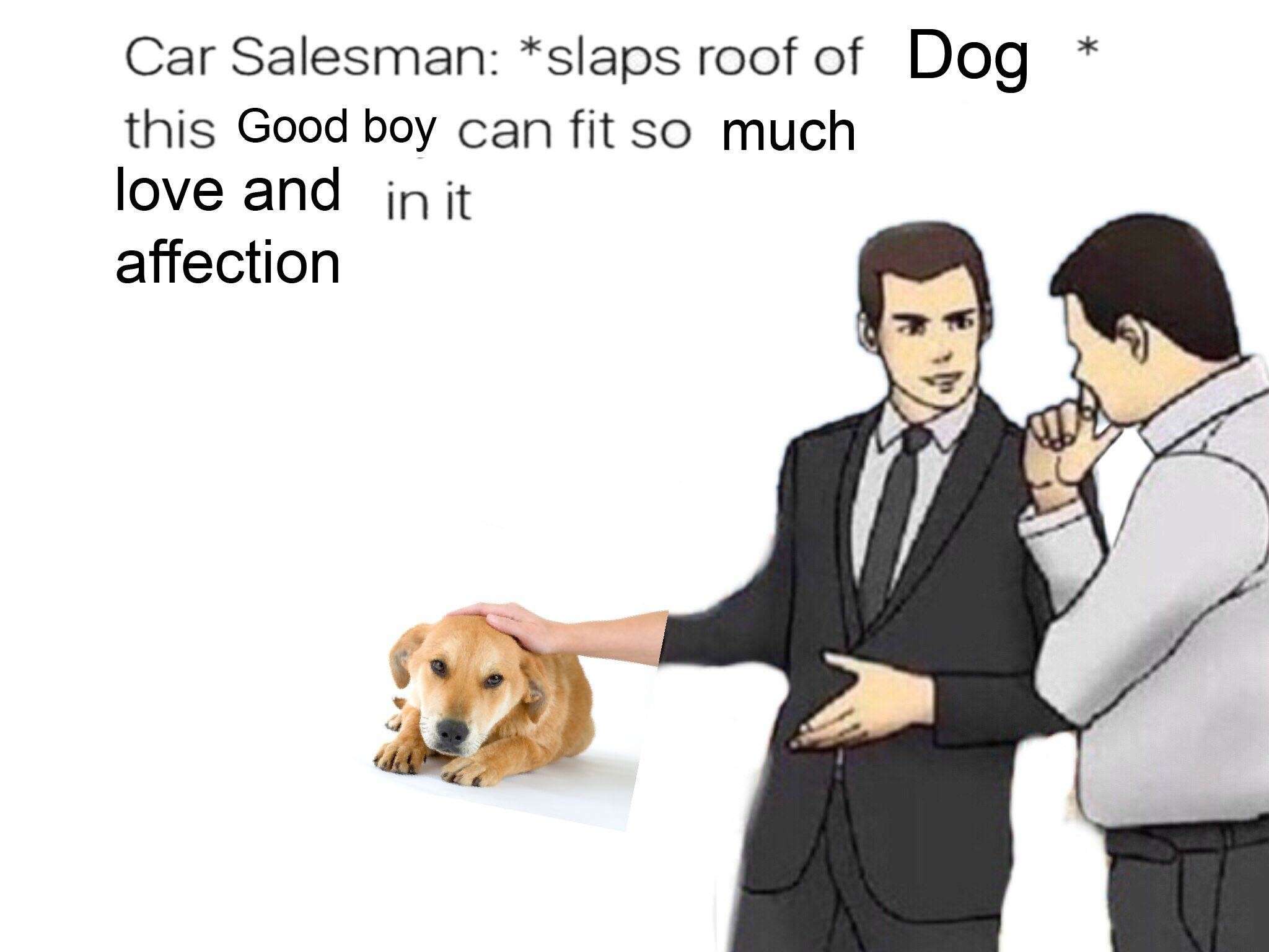 Slaps roof of car meme dog fit so much love