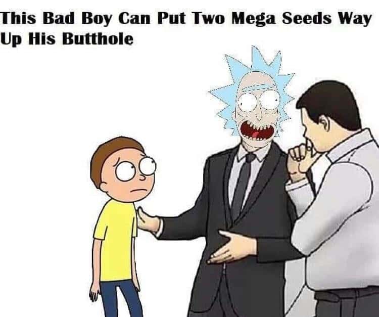 Slaps roof of car meme two mega seeds up his butthole
