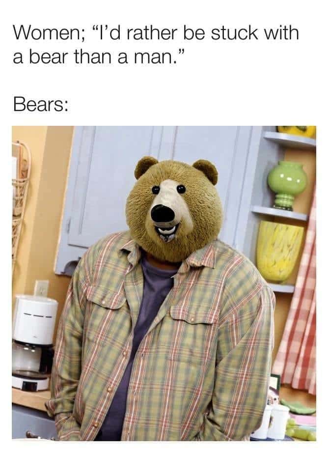 Kevin James Smirking meme wearing bear mask, women prefer bear over man