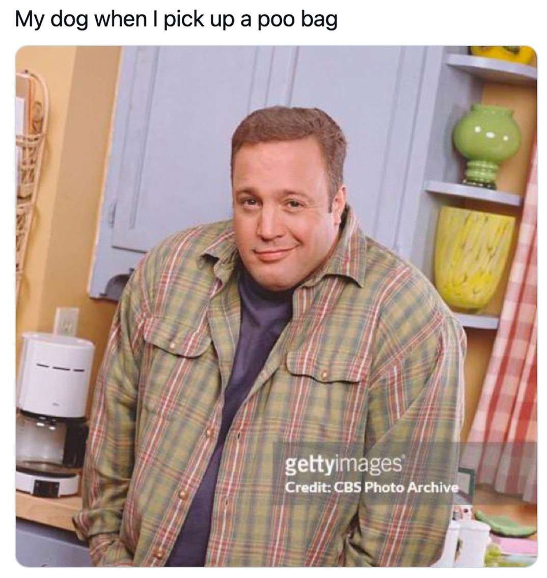 Kevin James smirking meme dog smirks when you pick up poo bag