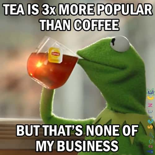 Kermit sipping tea meme tea more popular than coffee none of my business Kermit sipping tea meme tea more popular than coffee none of my business