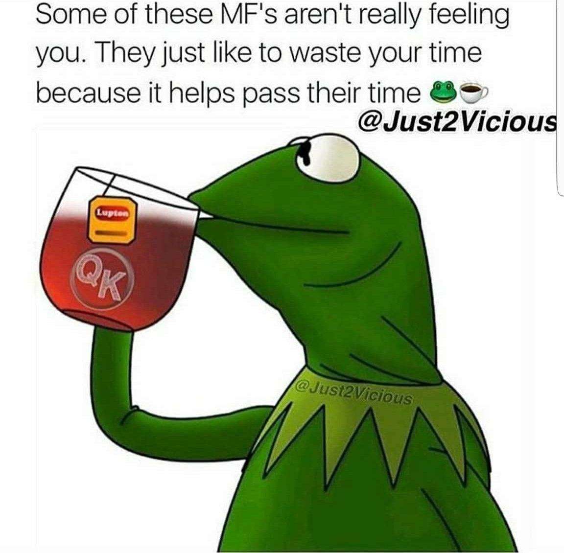 Kermit sipping tea meme calling out people wasting your time Kermit sipping tea meme calling out people wasting your time