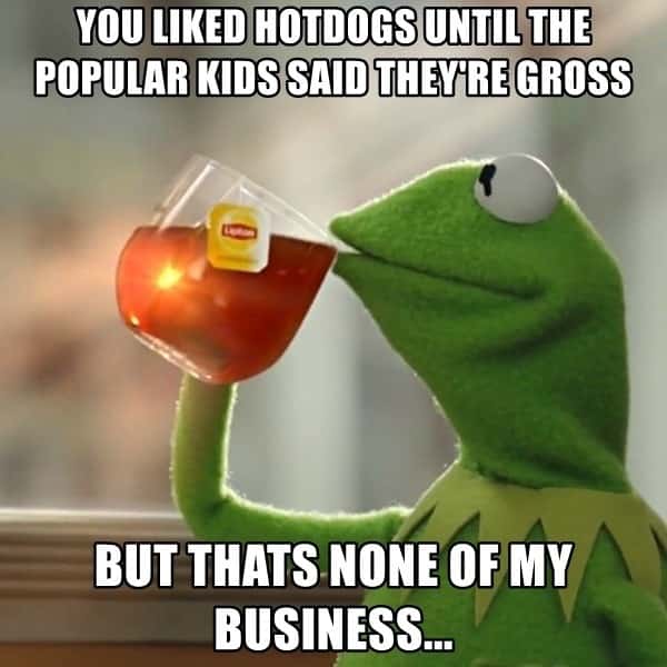 Kermit sipping tea meme mocking people ditching hotdogs for popular kids Kermit sipping tea meme mocking people ditching hotdogs for popular kids
