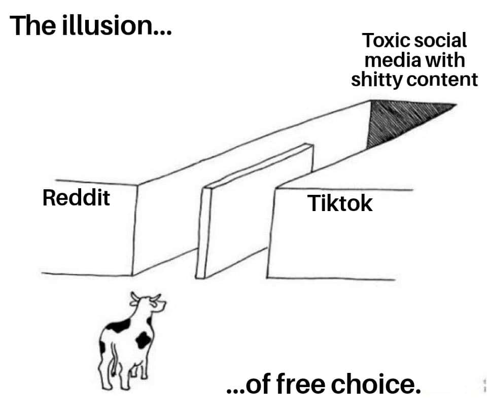 Illusion of choice meme choosing Reddit or Tiktok