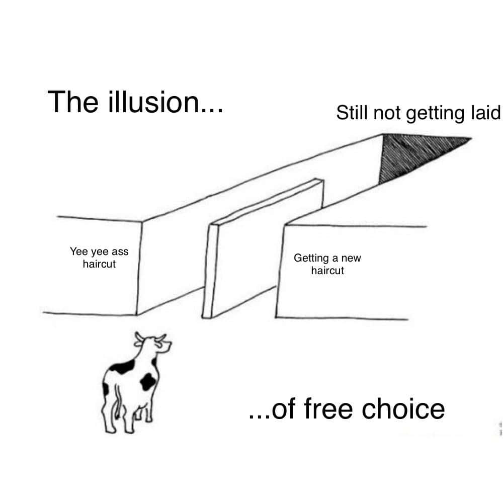 Illusion of choice meme new haircut still not getting laid
