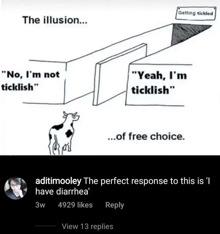 Illusion of choice meme saying you are ticklish