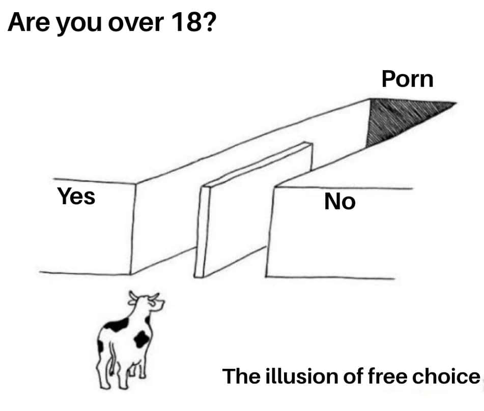 Illusion of Choice meme age check leads to porn