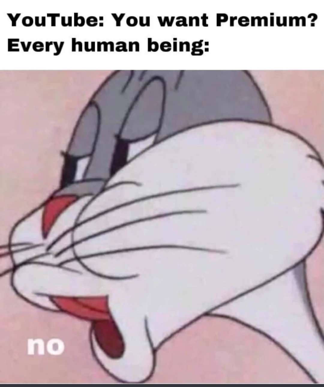 Bugs bunny no meme refusing youtube premium offer