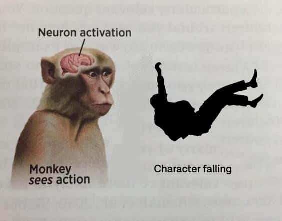 Neuron activation meme monkey sees falling character