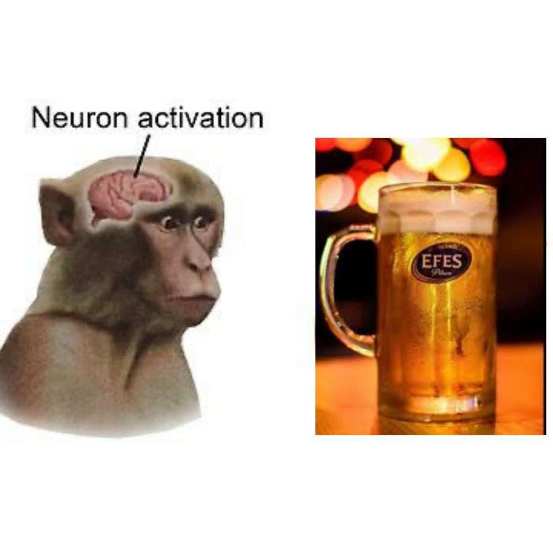 Neuron activation monkey meme seeing beer Neuron activation monkey meme seeing beer