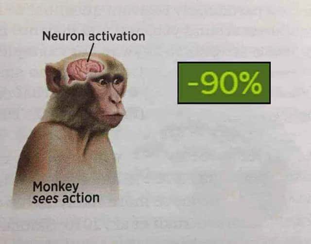 Neuron activation meme drops 90% when monkey sees action Neuron activation meme drops 90% when monkey sees action
