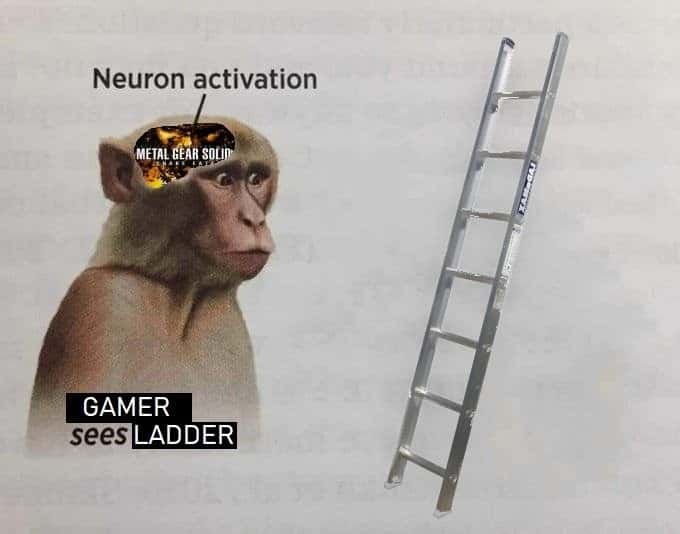 Neuron activation monkey meme seeing a ladder Neuron activation monkey meme seeing a ladder