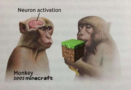 Neuron activation meme monkey sees minecraft block Neuron activation meme monkey sees minecraft block