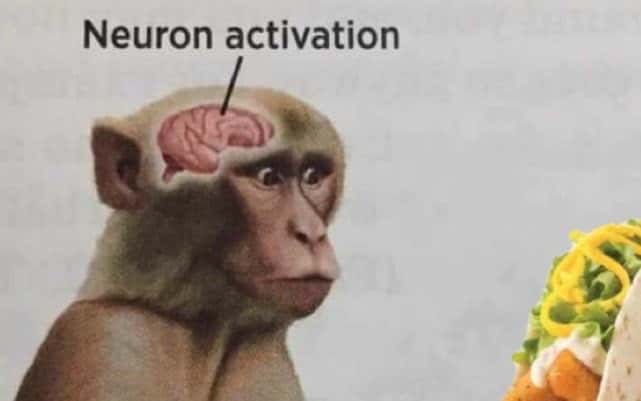 Neuron activation meme craving taco
