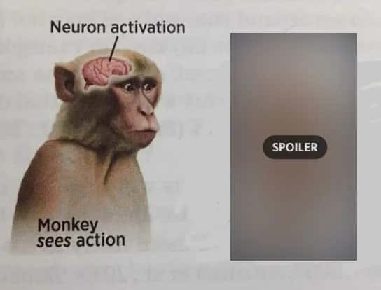 Neuron activation meme sees spoiler Neuron activation meme sees spoiler