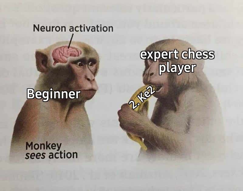 Neuron activation meme expert chess player plays 2.ke2 Neuron activation meme expert chess player plays 2.ke2