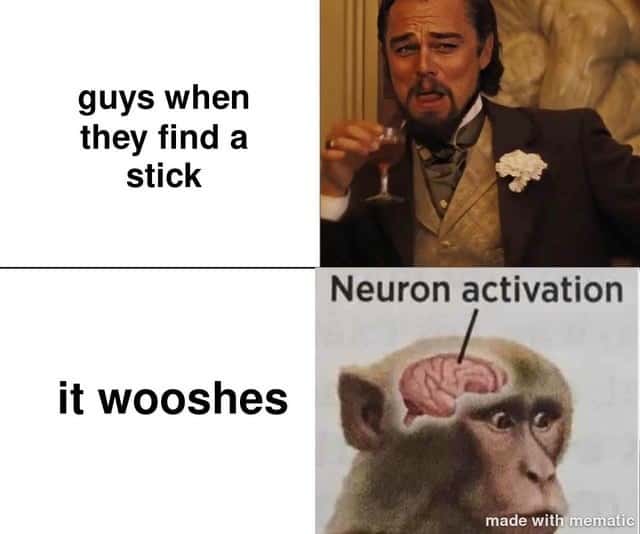 Neuron activation meme guys find a stick it wooshes