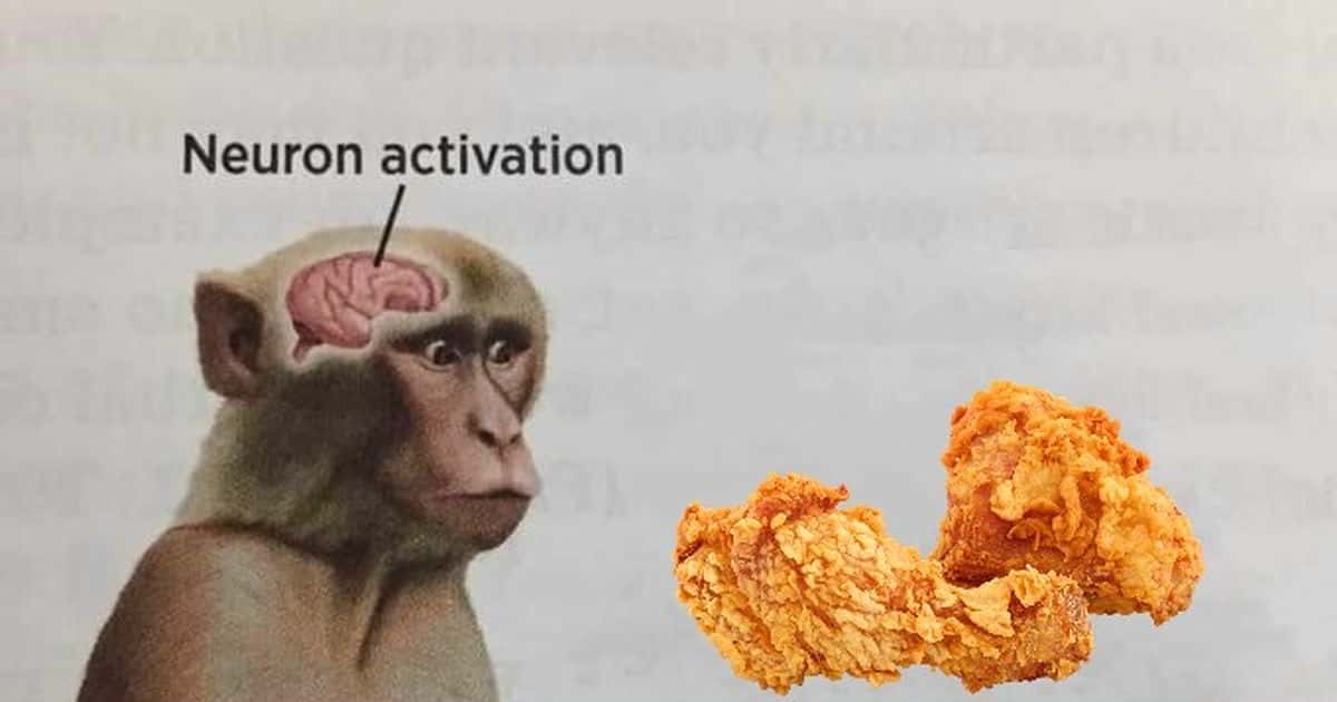 Neuron activation monkey meme seeing fried chicken