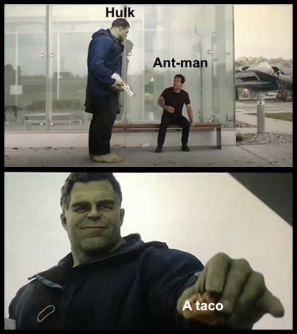 Hulk taco meme offering Ant-man a taco smugly