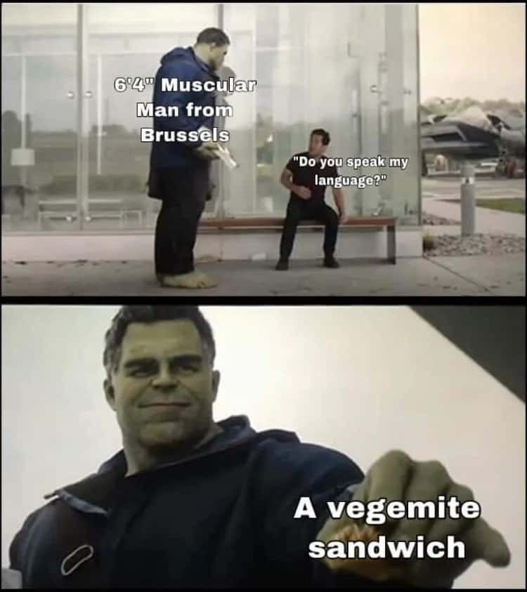 Hulk taco meme answers do you speak my language