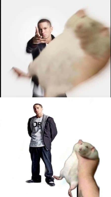 Eminem throwing meme launching a rat