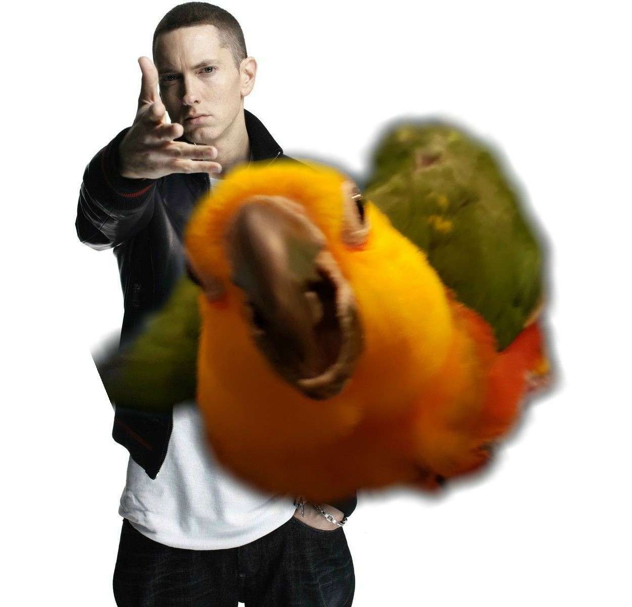 Eminem throwing meme throwing a motion-blurred parrot