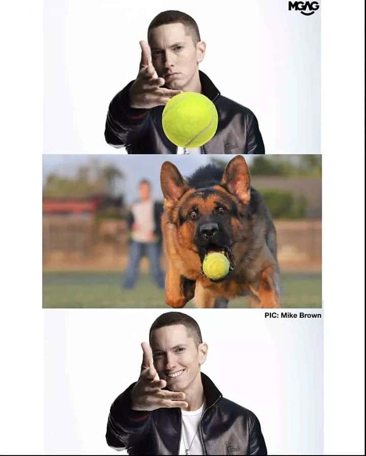 Eminem throwing meme dog catching tennis ball sequence