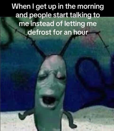 Plankton moaning meme annoyed when people talk to him after waking up