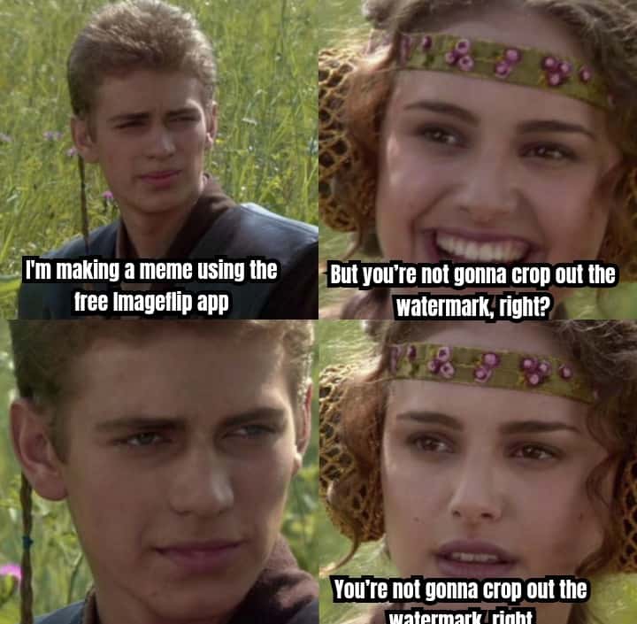 Anakin and Padmé meme cropping out watermark awkwardly