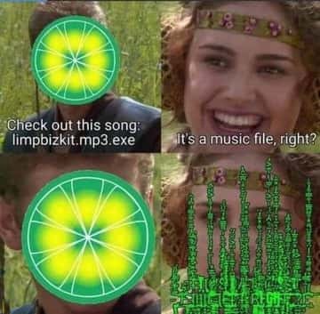 Anakin and Padmé meme limpbizkit mp3 exe as music file