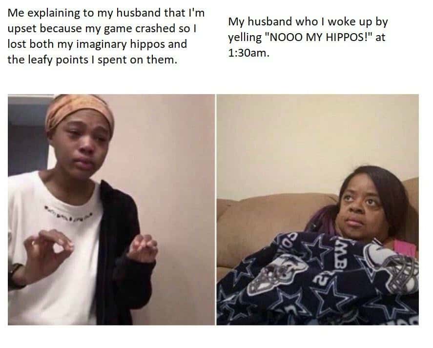 Me explaining to my mom upset about game crash meme Me explaining to my mom upset about game crash meme