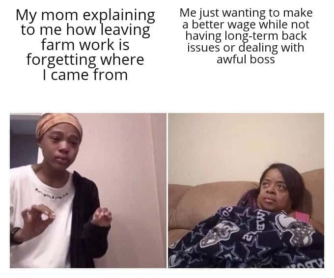Me explaining to my mom meme wanting to quit farm work for better wage no back pain no bad boss Me explaining to my mom meme wanting to quit farm work for better wage no back pain no bad boss