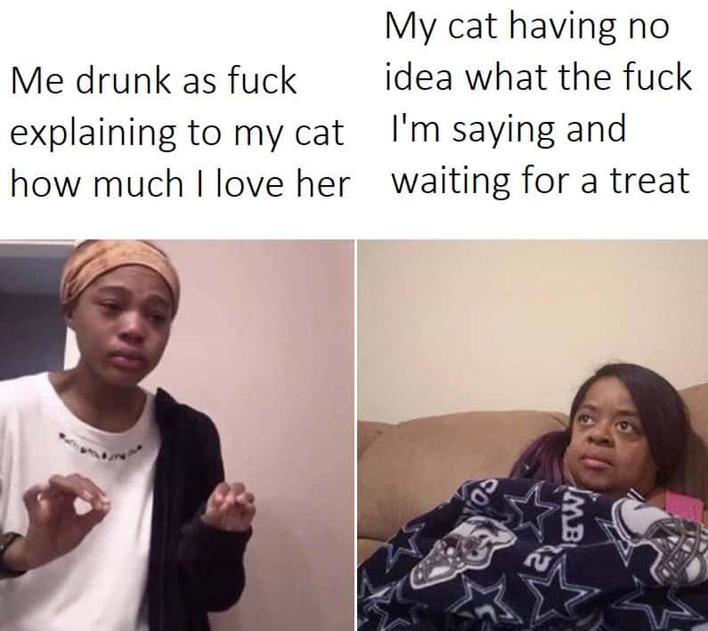 Me explaining to my mom drunk rambling meme telling your cat how much you love her while cat waits for a treat Me explaining to my mom drunk rambling meme telling your cat how much you love her while cat waits for a treat