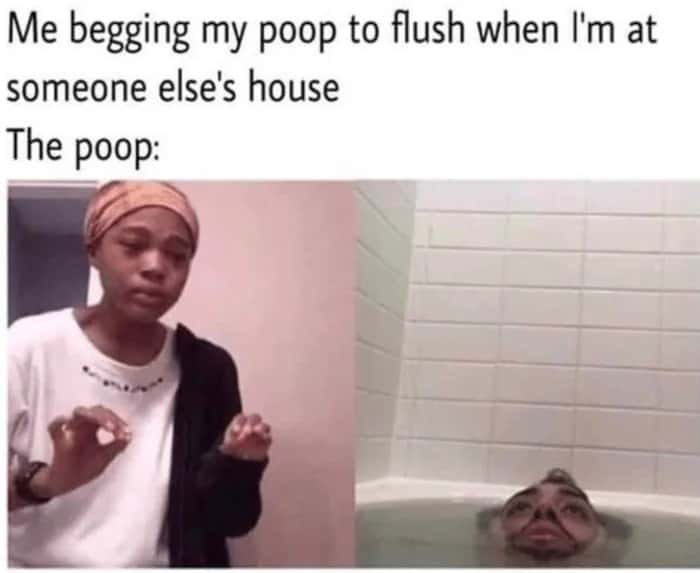 Me explaining to my mom meme begging my stubborn poop to flush at someone else's house Me explaining to my mom meme begging my stubborn poop to flush at someone else's house