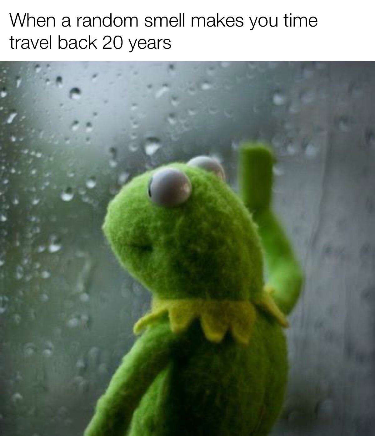 Kermit Window meme travels back 20 years by random smell