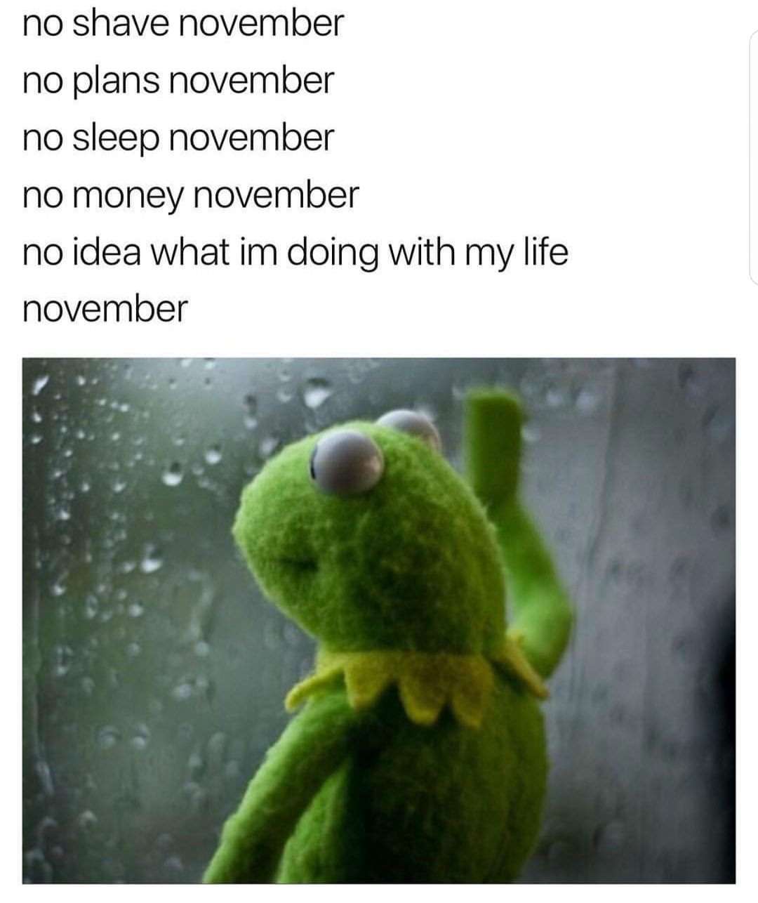 Kermit Window meme sad in november