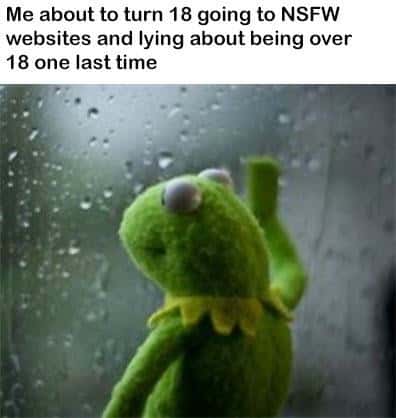 Kermit Window meme lying about being over 18 for nsfw sites