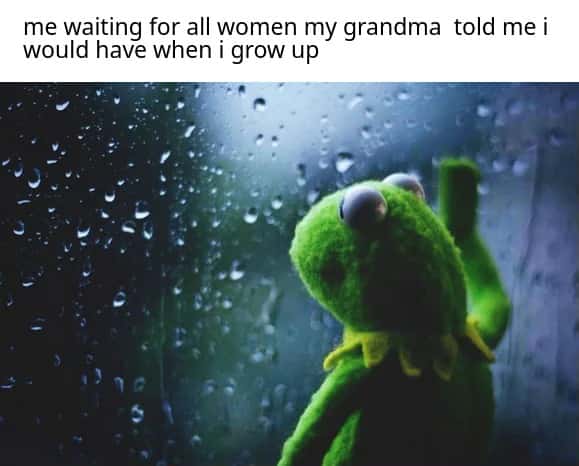 Kermit window meme waiting for grandma promised women after growing up