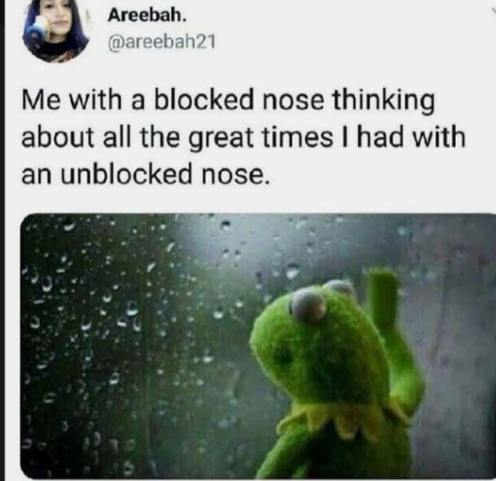 Kermit Window meme reminiscing good times with unblocked nose