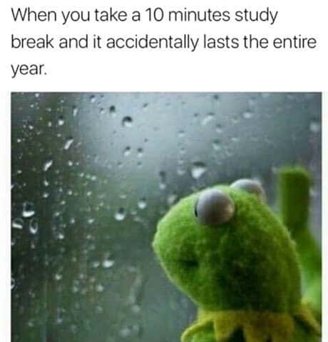 Kermit Window meme study break lasts entire year