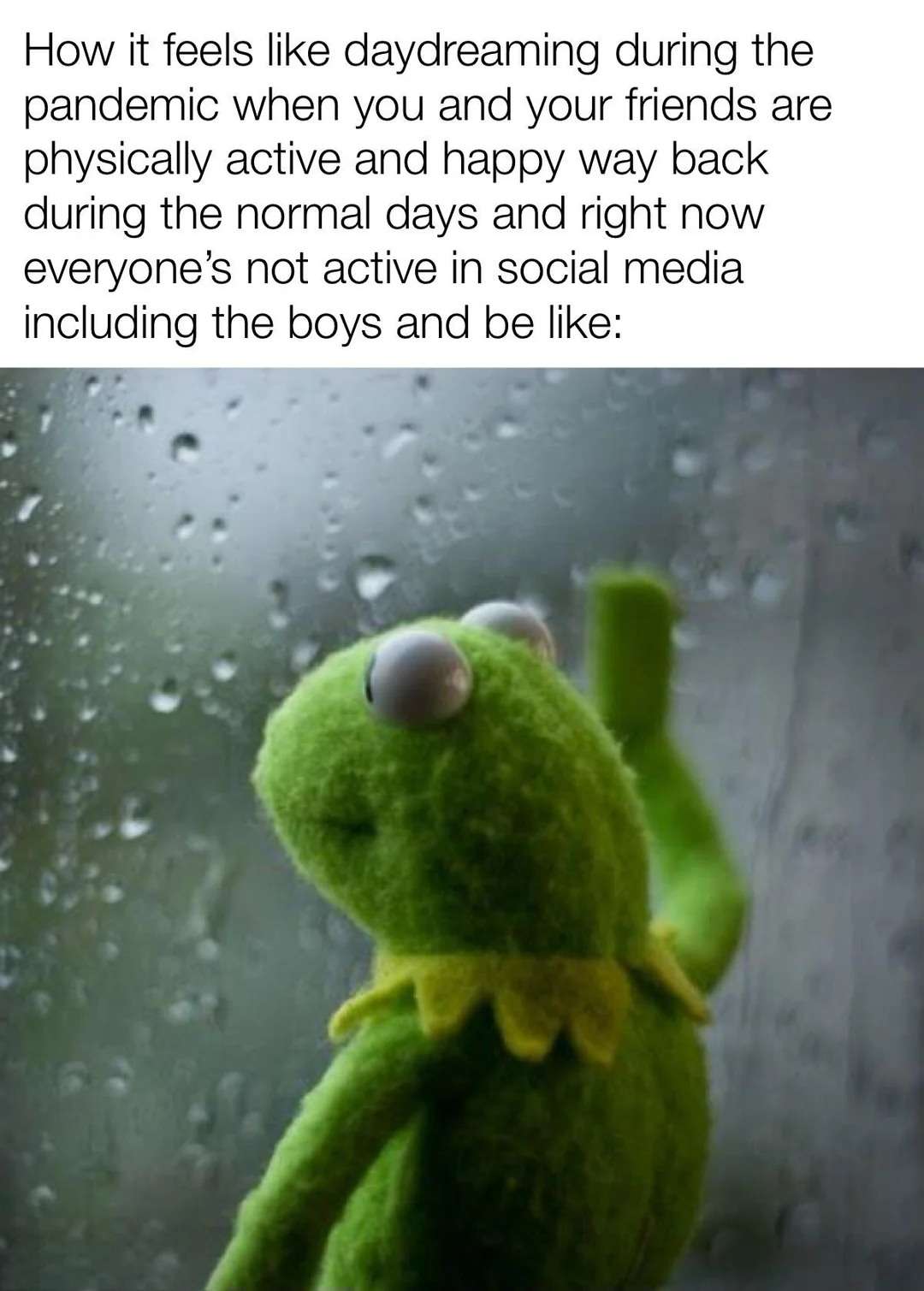 Kermit Window meme missing pre-pandemic happy days