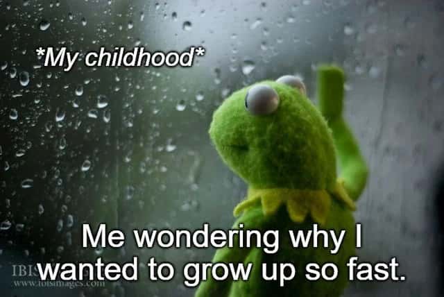 Kermit Window meme missing childhood