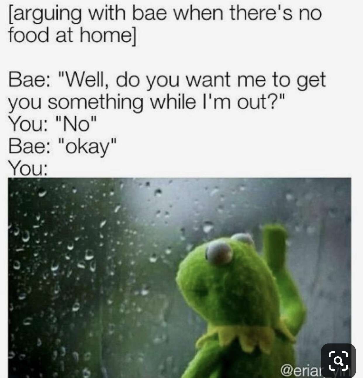 Kermit window meme arguing with bae no food at home