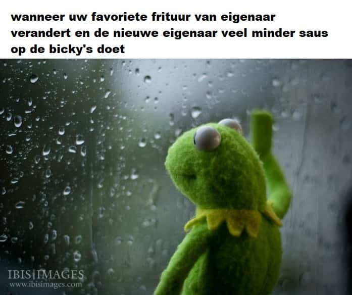 Kermit Window meme sad over less bicky sauce
