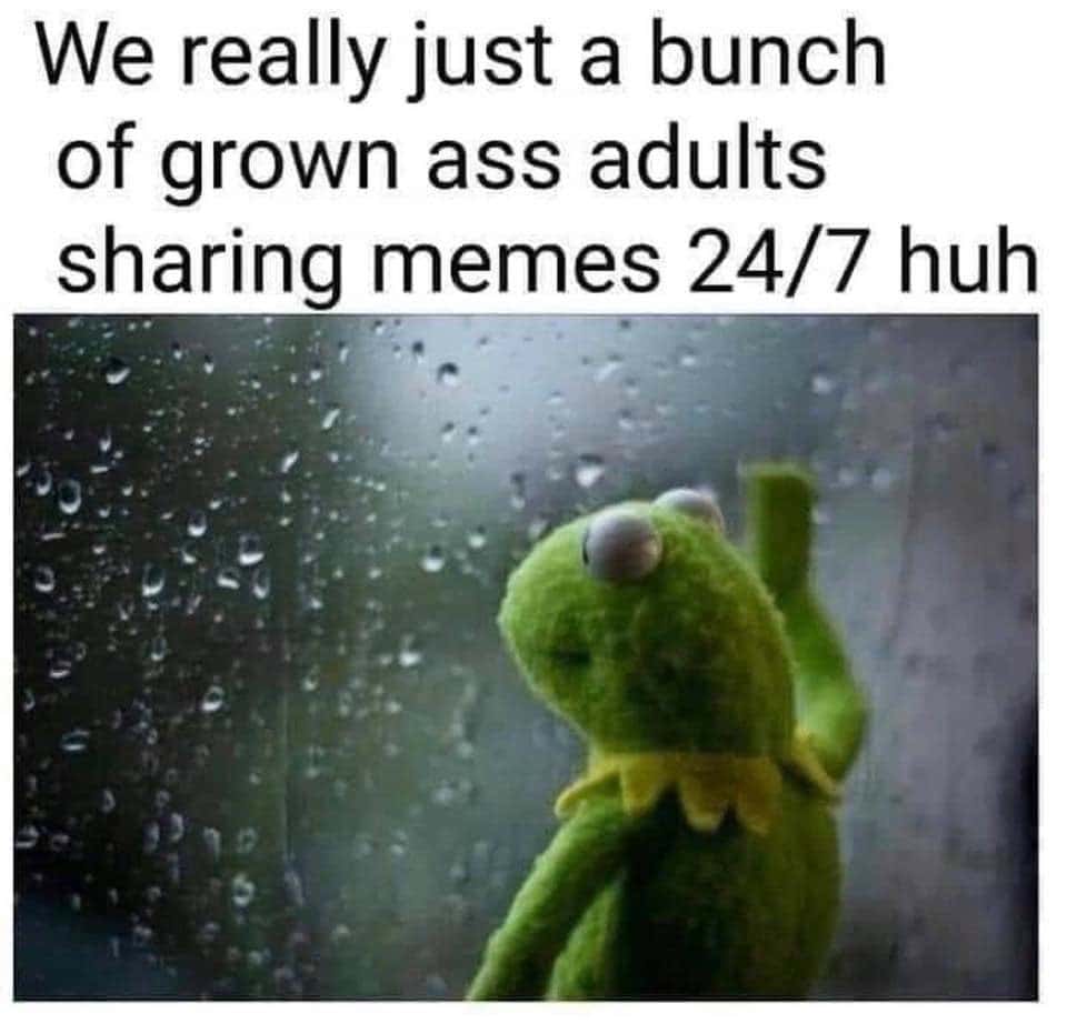 Kermit Window meme share memes 24/7