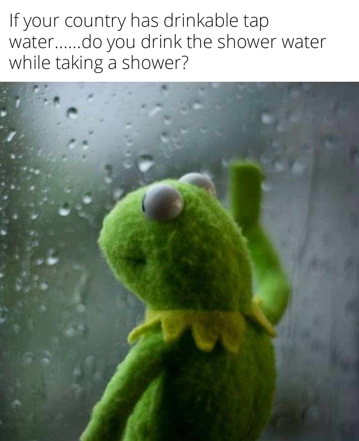 Kermit window meme asking if you drink shower water