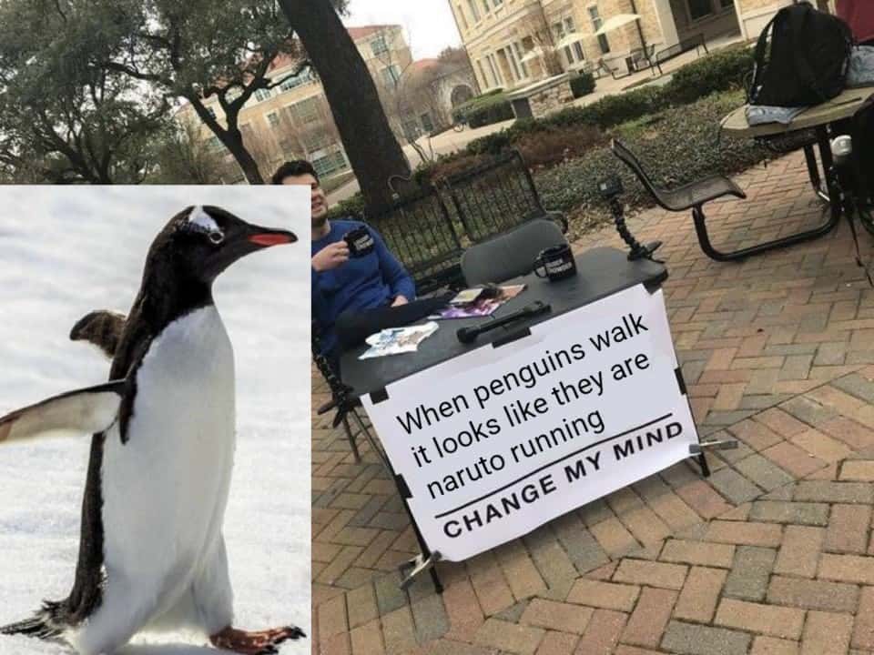 Change my mind meme penguins walk like naruto running
