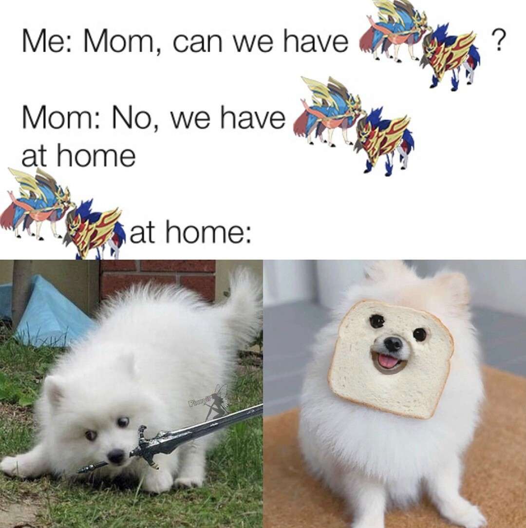 We have x at home meme fake legendary dog version